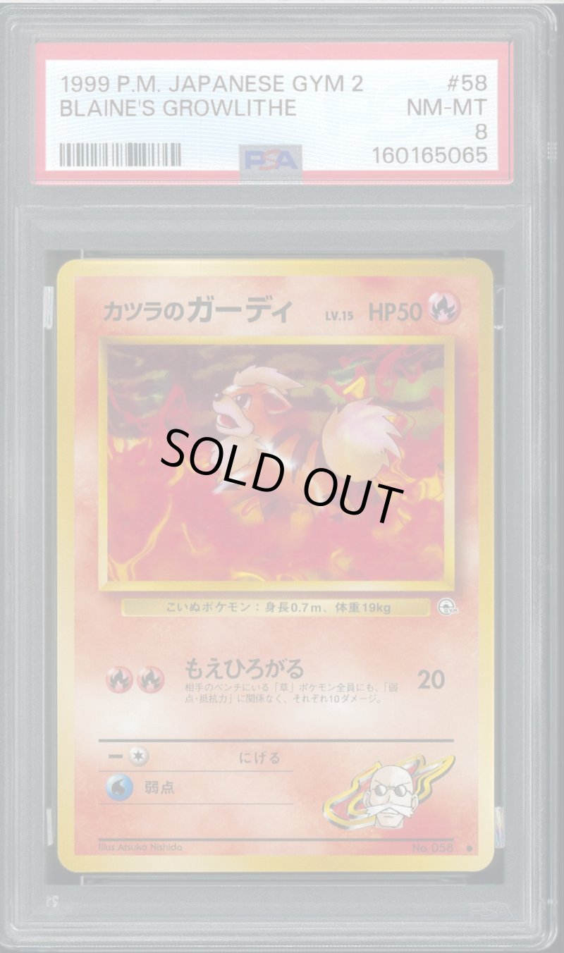 画像1: 【PSA8】カツラのガーディ (1)