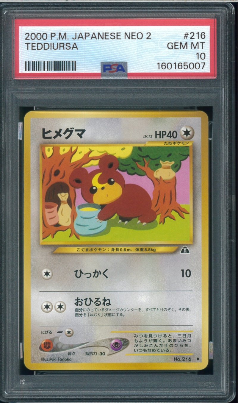 画像1: 【PSA10】ヒメグマ (1)