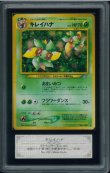 画像1: 【ARS10】キレイハナ (1)