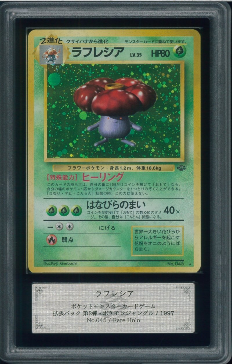 画像1: 【ARS10】ラフレシア (1)
