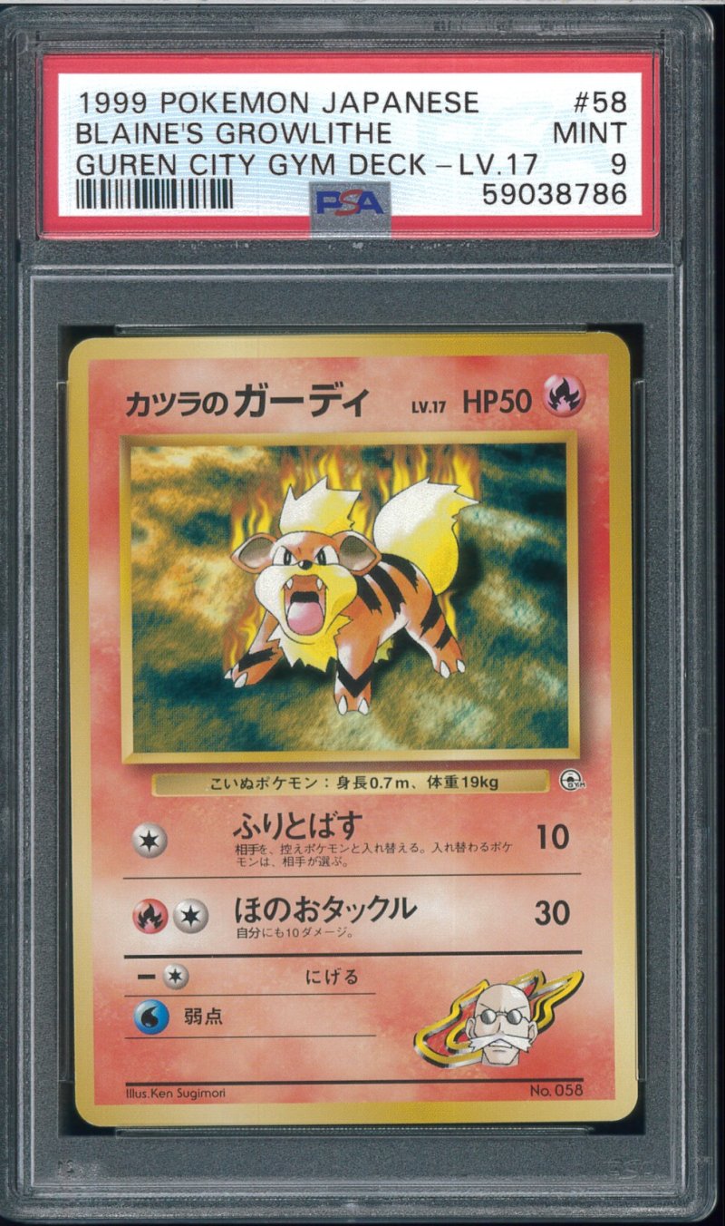 画像1: 【PSA9】カツラのガーディ (1)