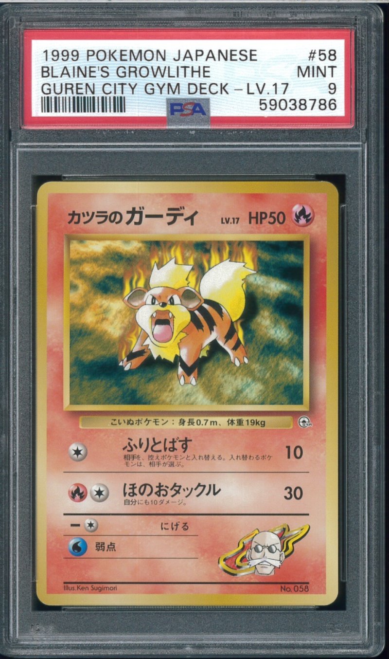 画像1: 【PSA9】カツラのガーディ (1)