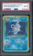 画像1: 【PSA8】わるいカメックス (1)