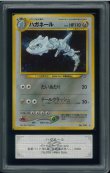 画像1: 【ARS10+】ハガネール (1)