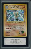 画像1: 【ARS10+】サカキのカイリキー (1)
