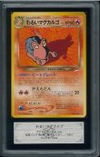画像1: 【ARS10+】わるいマグカルゴ (1)