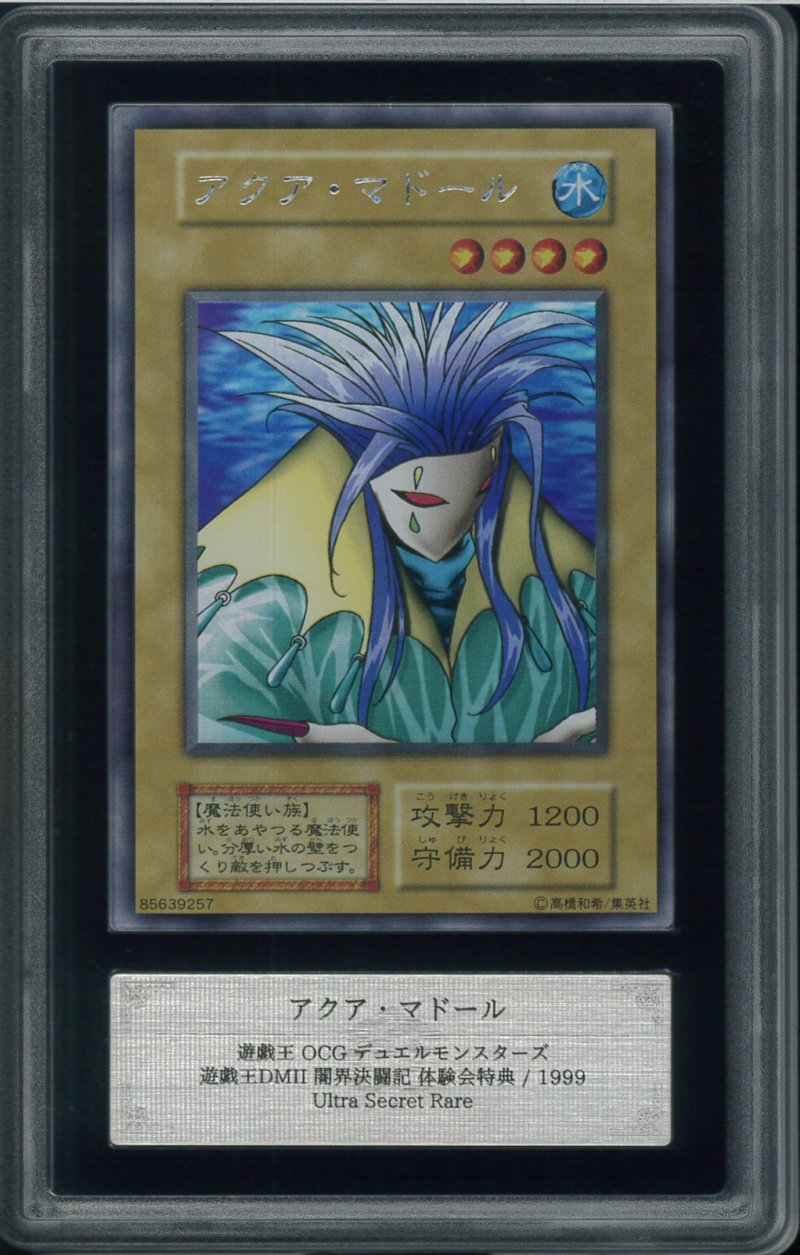 画像1: 【ARS8】アクア・マドール ウルシク (1)