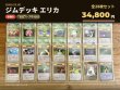 画像1: 【状態B】ジムデッキ エリカ_フルコンプリートセット（全28枚） (1)