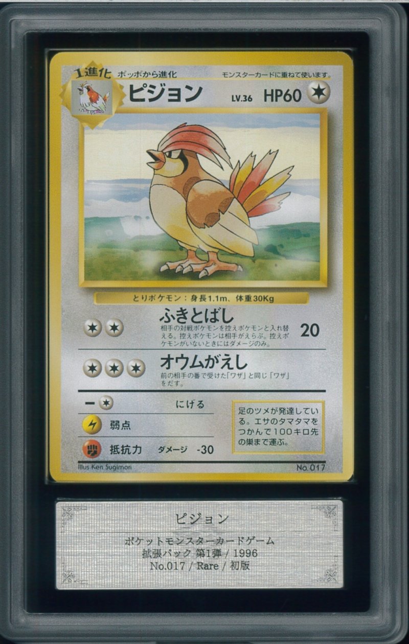 画像1: 【ARS10】ピジョン 初版 (No rarity symbol) (1)