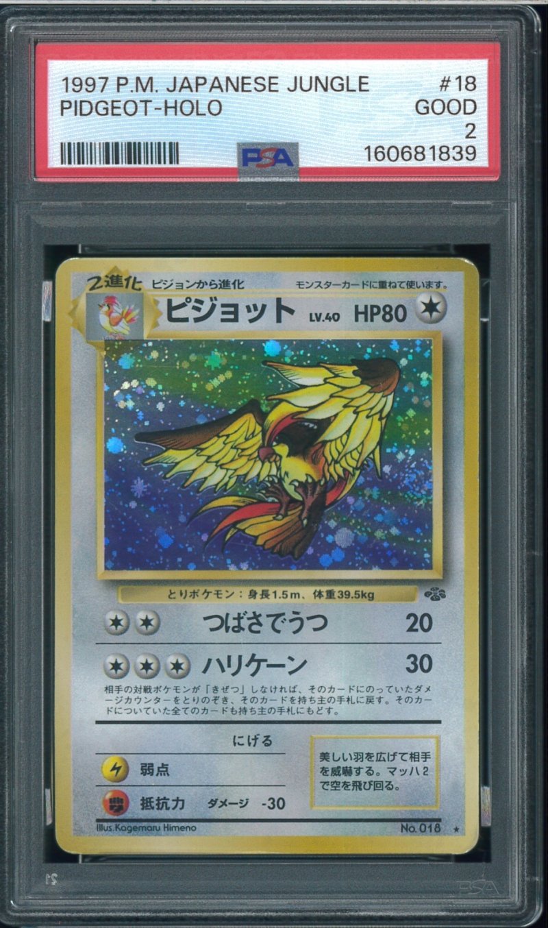画像1: 【PSA2】ピジョット (1)