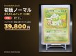 画像1: 【初版12枚セット】フシギダネ+ランダム11枚（状態C） (1)