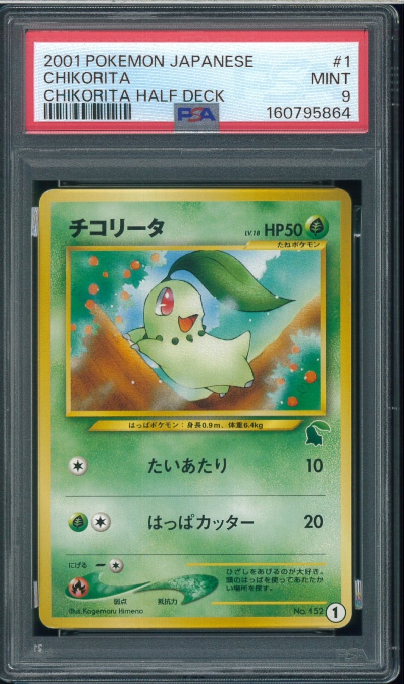 画像1: 【PSA9】チコリータ (1)