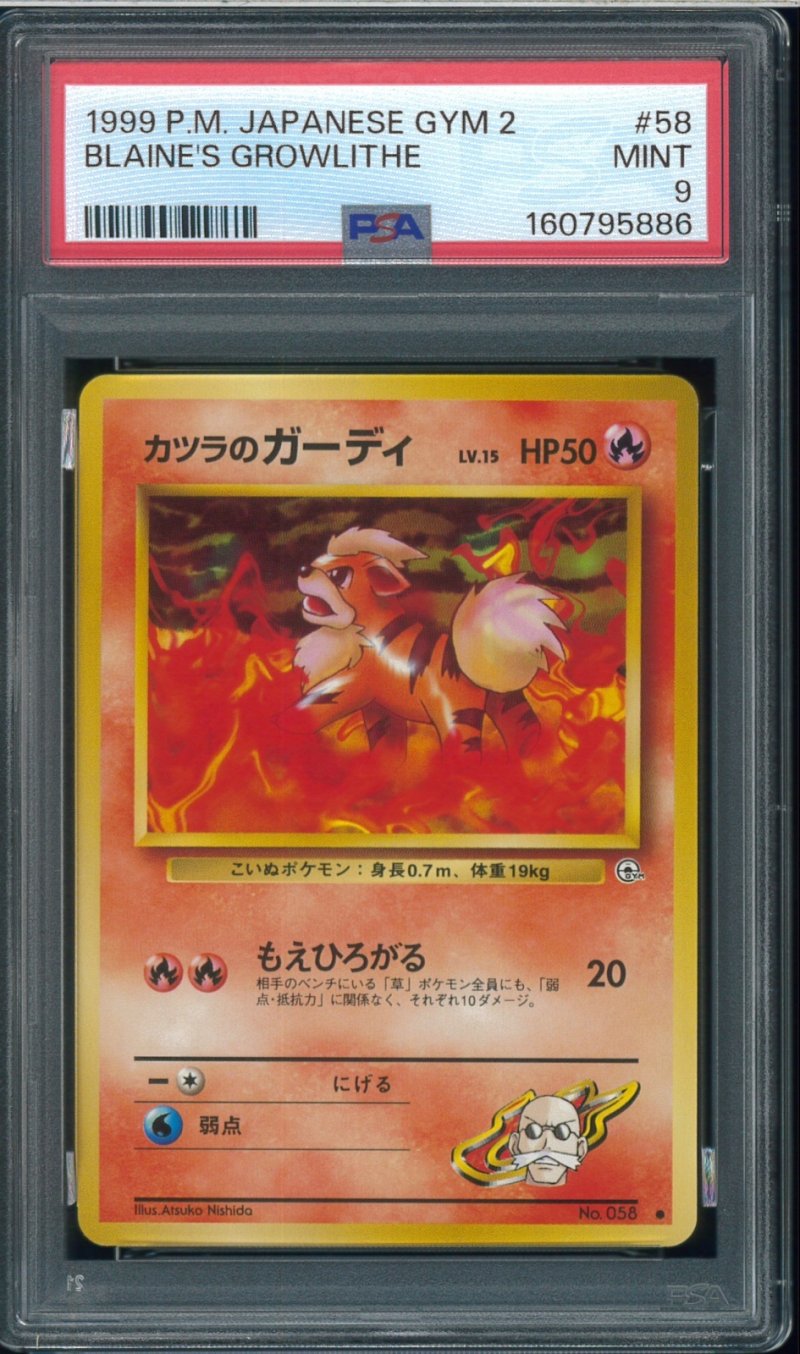 画像1: 【PSA9】カツラのガーディ (1)