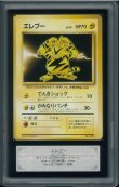 画像1: 【ARS9】エレブー 初版（NoRaritySymbol） (1)