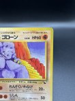 画像3: 【厳選素体】ゴローン（状態A-） (3)