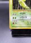 画像4: 【厳選素体】トランセル 初版（状態A-） (4)