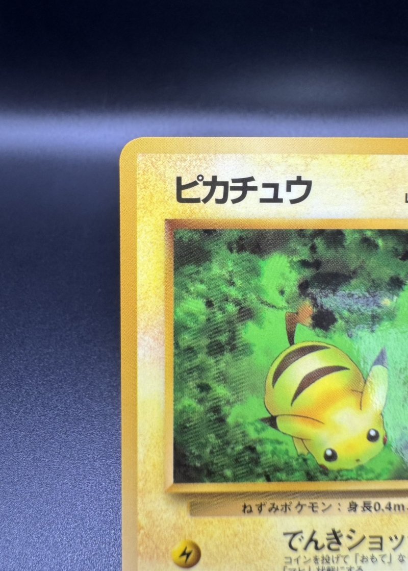 画像2: 【厳選素体】ピカチュウ（状態B） (2)