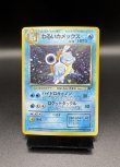 画像1: 【厳選素体】わるいカメックス（状態A-） (1)