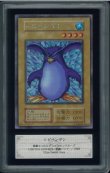 画像1: 【ARS8】トビペンギン（初期ウルシク） (1)