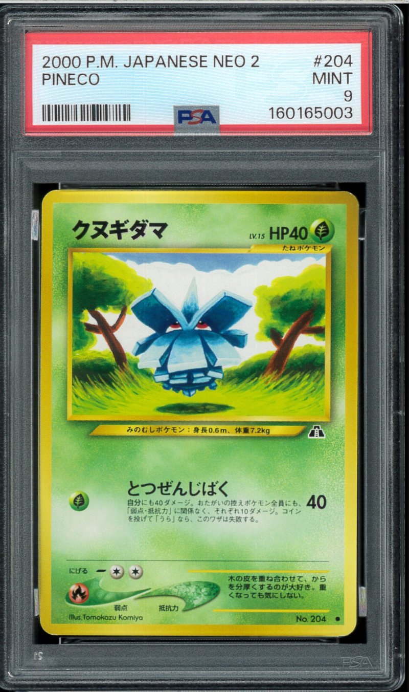 画像1: 【PSA9】クヌギダマ (1)