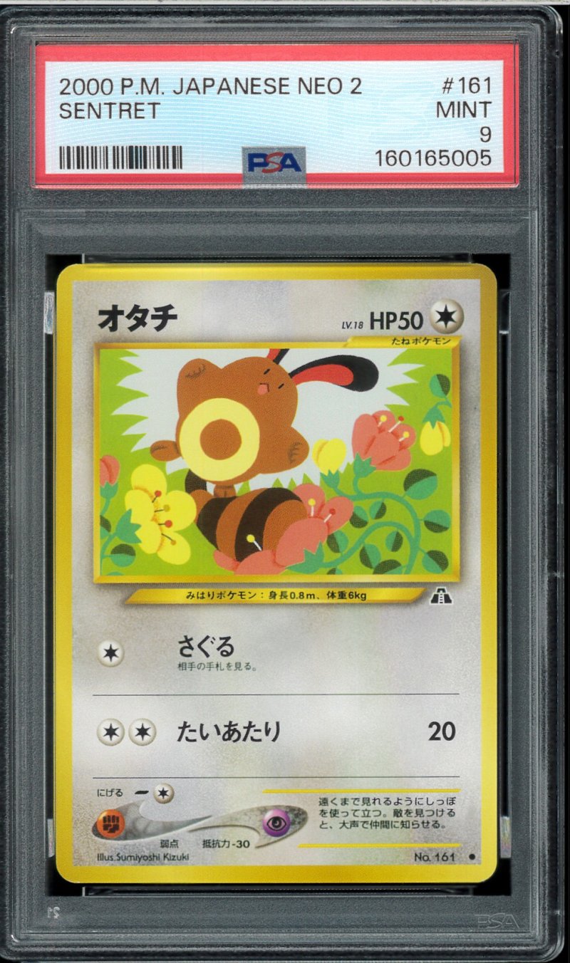 画像1: 【PSA9】オタチ (1)