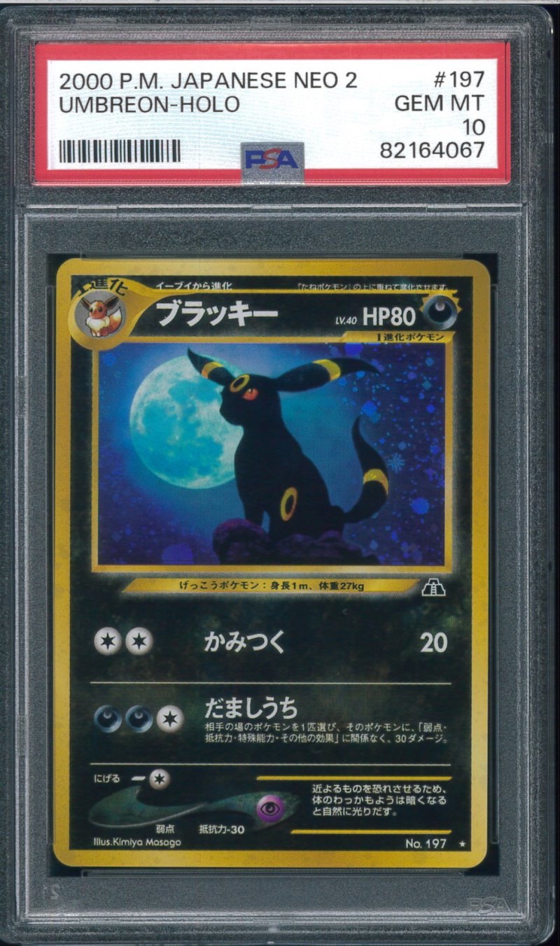 画像1: 【PSA10】ブラッキー (1)