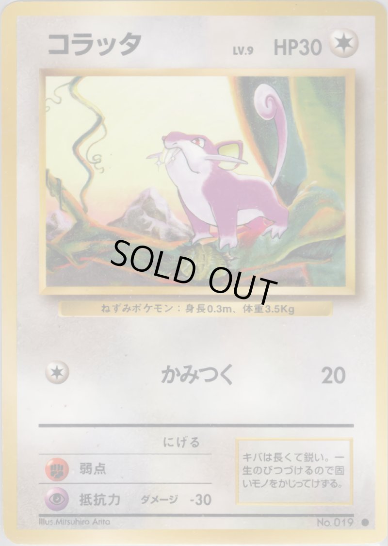 画像1: カメックス（旧裏・マークあり） (1)